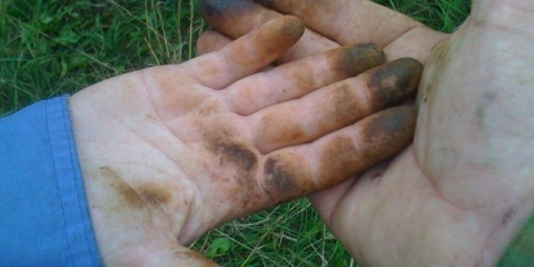 Kako oprati (očistiti) ruke nakon čišćenja ulja od gljiva: jednostavni načini